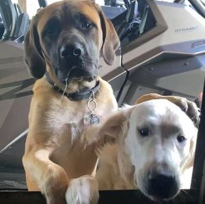 Meet your Posher, Brian